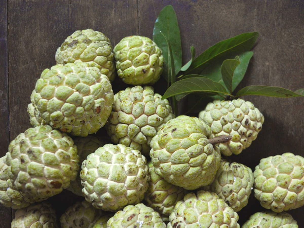 Custard Apple 3