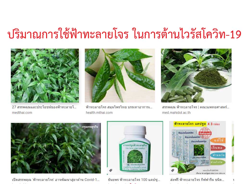 ปริมาณการใช้ "ฟ้าทะลายโจร" สำหรับต้านไวรัสโควิท-19 ตามที่แพทย์แนะนำ