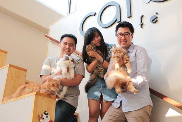  “Cat Up Café” คาเฟ่แมวสุดชิค ฮอตฮิตของทาสเหมียว