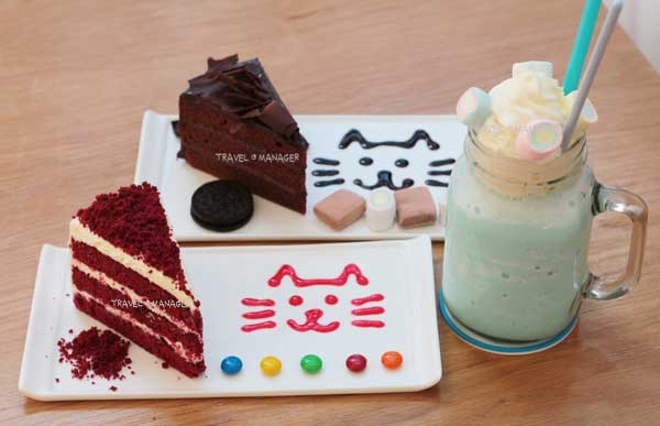  “Cat Up Café” คาเฟ่แมวสุดชิค ฮอตฮิตของทาสเหมียว