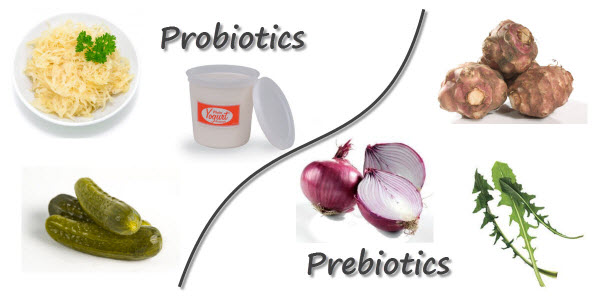 Probiotic and Prebiotic Foods