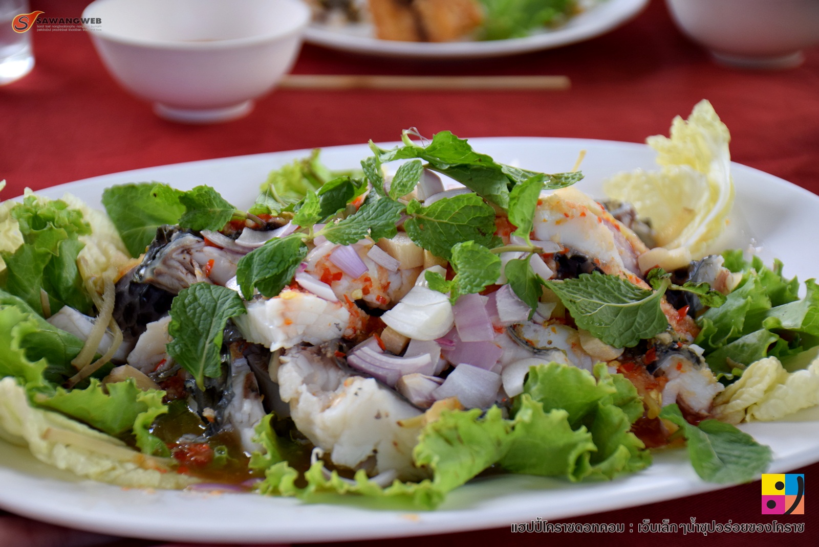 บ้านปลาจุ่มโคราช