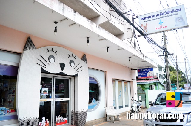 รักษาสัตว์ โคราช